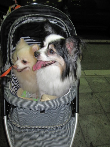 ��ͤ���ϡ���