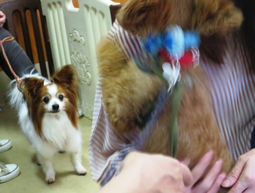 2019(R1)-7-20 Âè58²óΤ¿Æ²ñ(Áã³û) (10)