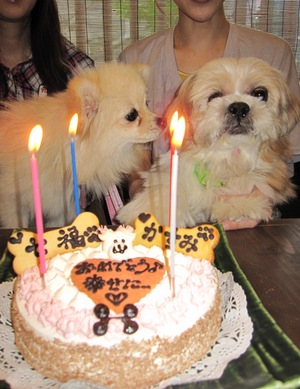 しっちー&かすみ