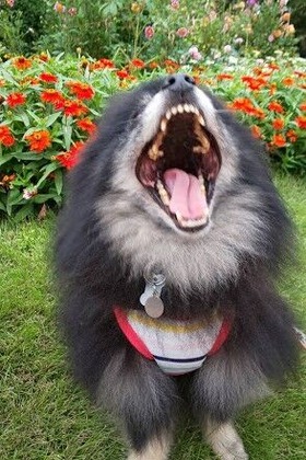 2020(R2)-10-4 �⤦��������������