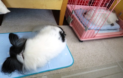 2019(R1)-8-5 �Խ����� (5)