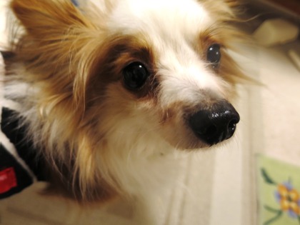 2019(H31)-3-7 �ӥӥ�Υ��ե��� (1)