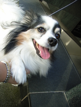 �ߤ�Ƥ�������