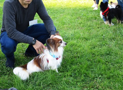 2017-11-3 卒オフ会 (19)