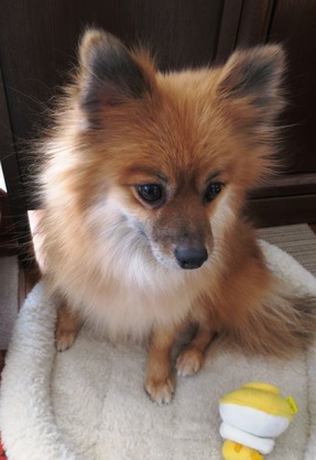 2019(H31)-1-2 退屈だぁ (2)