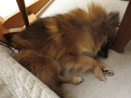 2019(H31)-2-9 傍に居たいの (8)