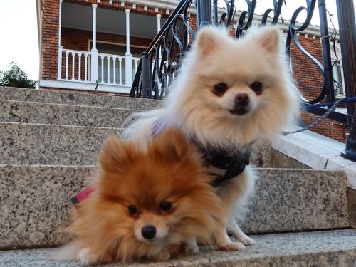 2021(R3)-1-21 ��ͳ���� ��������� (9)