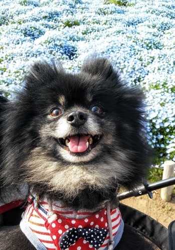 Ҥ͸ 2019(H31)-4-22 01