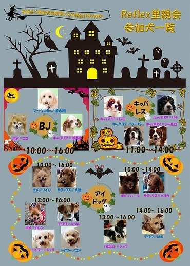 Reflex里親会参加犬一覧0919@