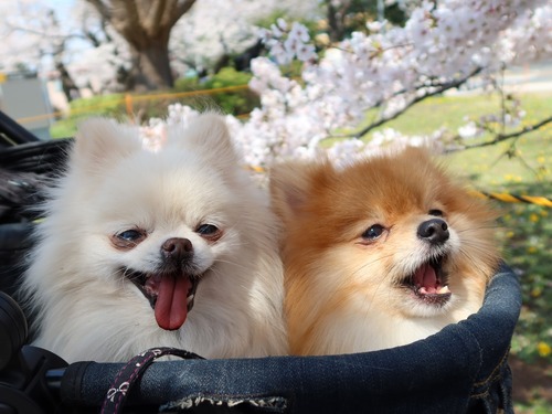 2021(R3)-3-27 3ǯΩκ (28)