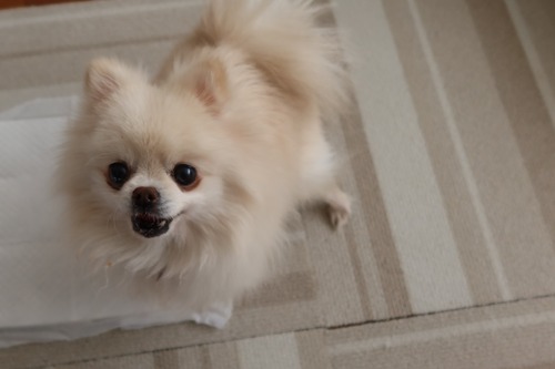 2021(R3)-1-29 �Ρ������ (7)