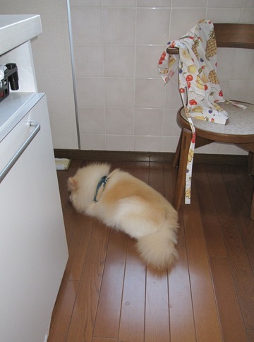 ���ä�������