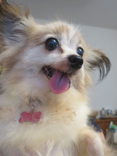 2020(R2)-7-20 äд (3)