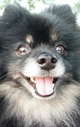 2018(H30)-6-2 ȥ饤11 02