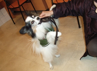 引っ張りっこ 03