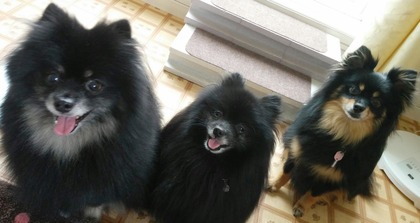 2018(H30)-5-23 ȥ饤 01