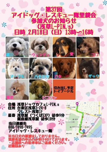 2月里親会参加犬