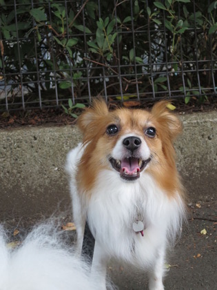 2018(H30)-7-18 İ˥å (6)