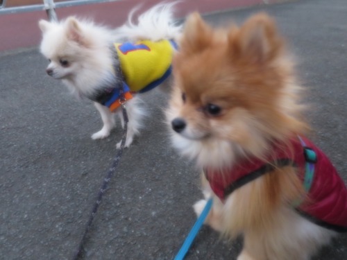 2020(R2)-12-20 Τ (13)