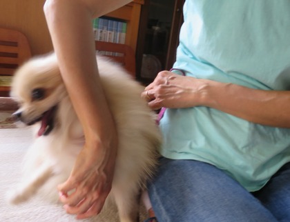 2017(H29)-7-3 �ť��� (5)