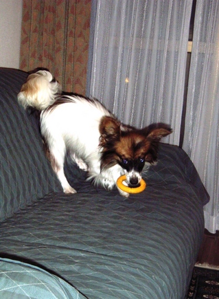 ハイテンション 3