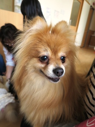 2018(H30)-4-14 ������Τ�Ʋ� ����