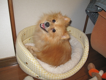 なーに?