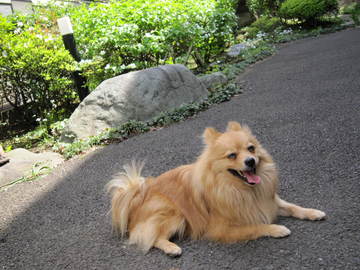 �ȥ饤����