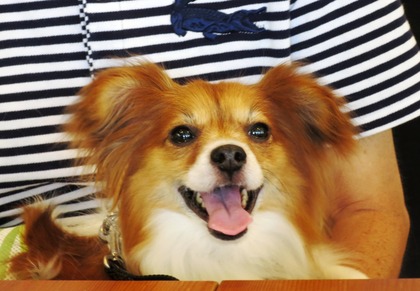 2018(H30)-7-17 ˥å礤 (15)