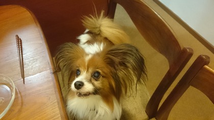 2014-11-17 ȥ饤11 ϤܤΡ