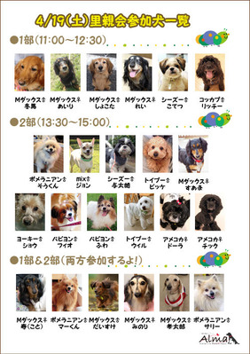 2014-4-19 ΤƲ񻲲ø