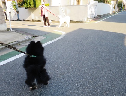 2018(H30)-3-12 春が来てるね! (7)