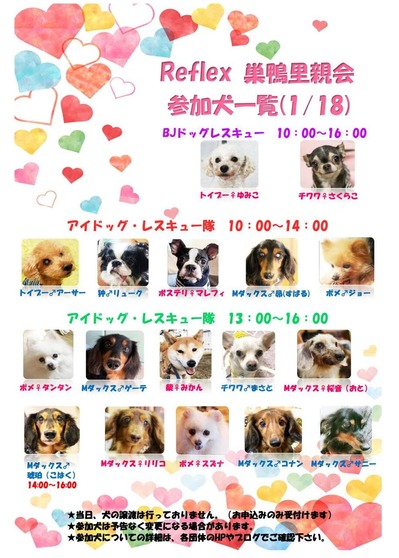 1月里親会参加犬