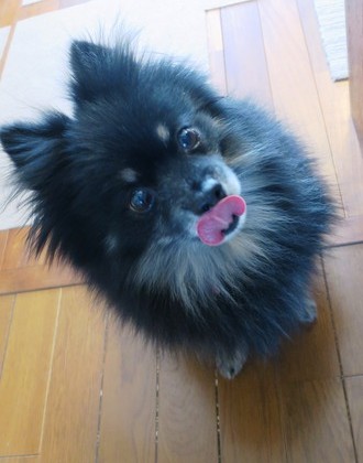 2018(H30)-2-6 お行儀よく待ちます (5)