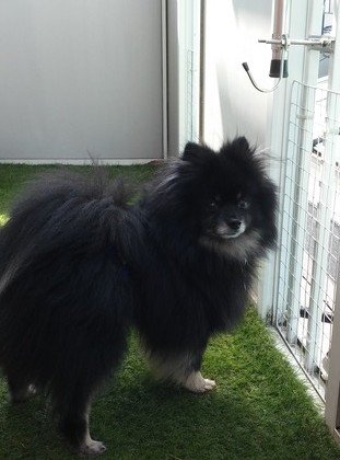 2018(H30)-6-4 ȥ饤13 02