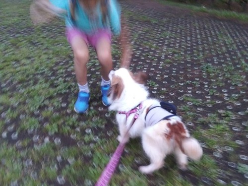 2021(R3)-5-4 ��̱�����ѥ��ˤ� (2)