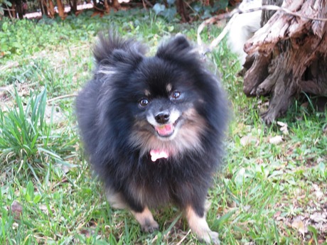 2018(H30)-3-12 春が来てるね! (24)