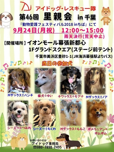 千葉9月参加犬