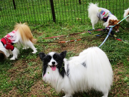 2018(H30)-10-14 ��5��´���ղ�  ��  (5)