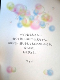 2017-3-23 ロビンへのお花 ナナママさん (1)