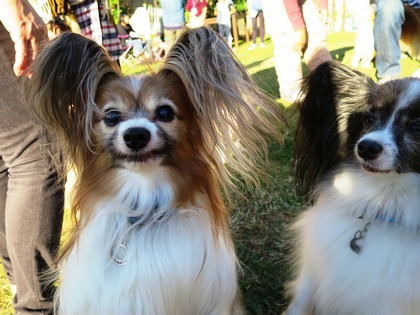 2015(H27)-10-25 第2回卒オフ (217)