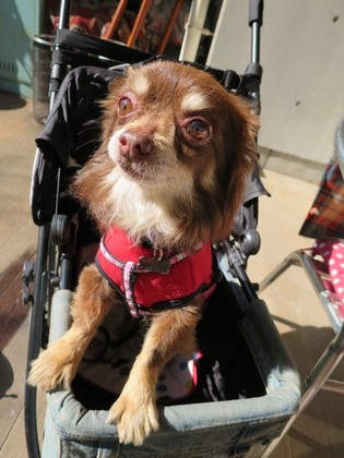 2015-2-11 ����ǰ���ν��ޤ��� (25)