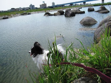 多摩川 01
