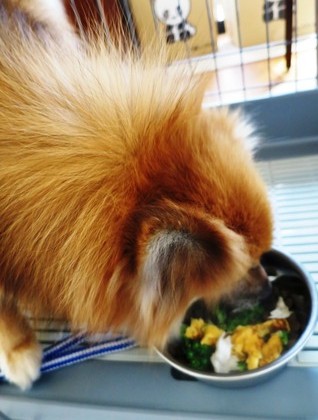 2019(H31)-2-16 トライアルの朝 (11)