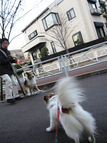 BlogPaint
