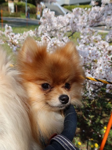 2021(R3)-3-27 3ǯΩκ (72)