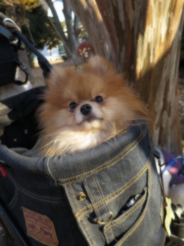 2020(R2)-12-22 סζ (10)