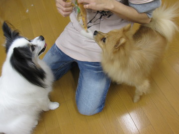 ������뤵��ǡ���