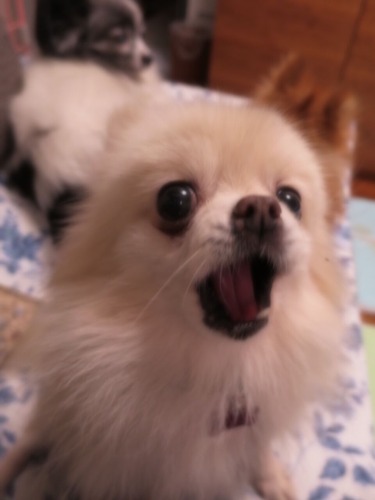 2020(R2)-12-8 ǥե˾äƤߤ (4)