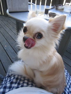 ���ʤ����